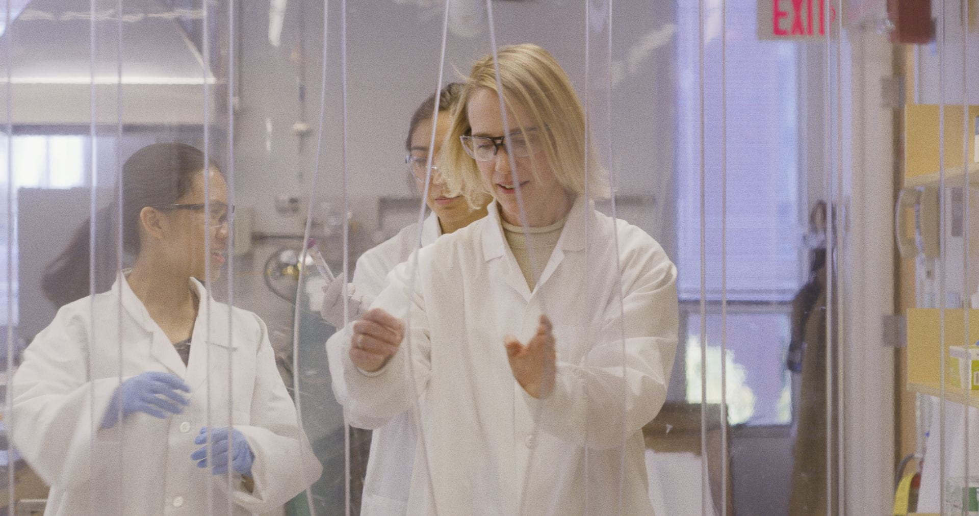 Professor Elsie Sunderland in her lab