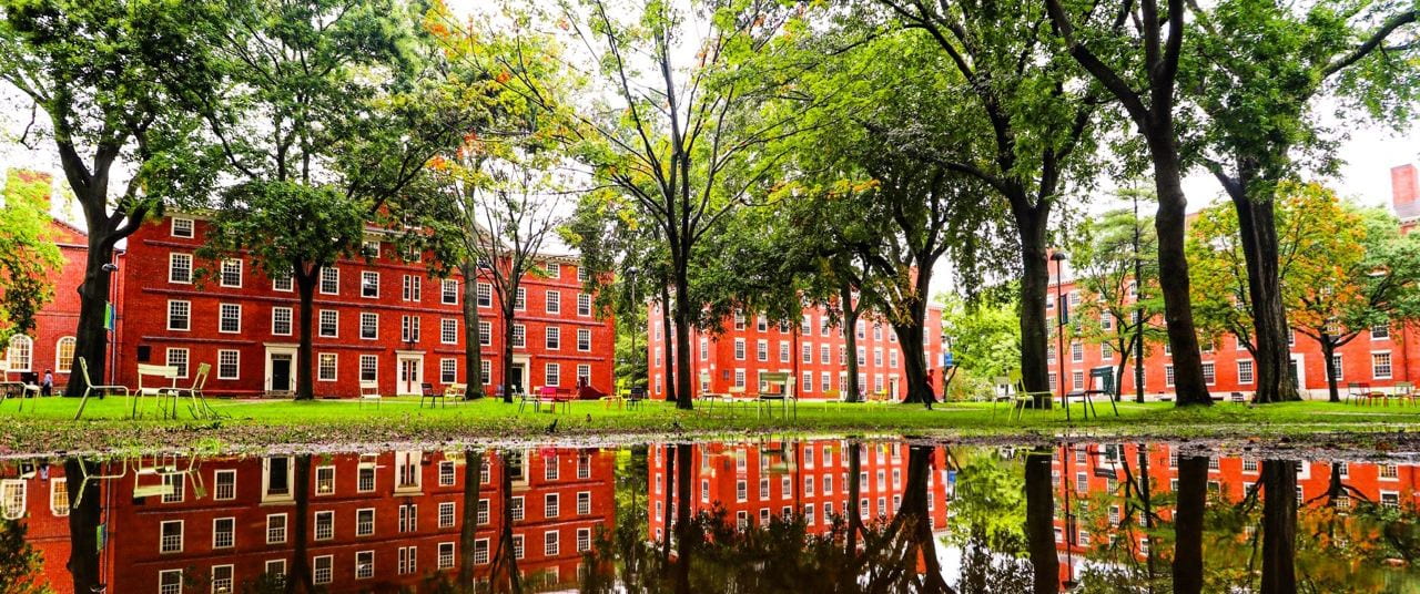 dorms in harvard yard. puddle shown in front of brick buildings with the reflection